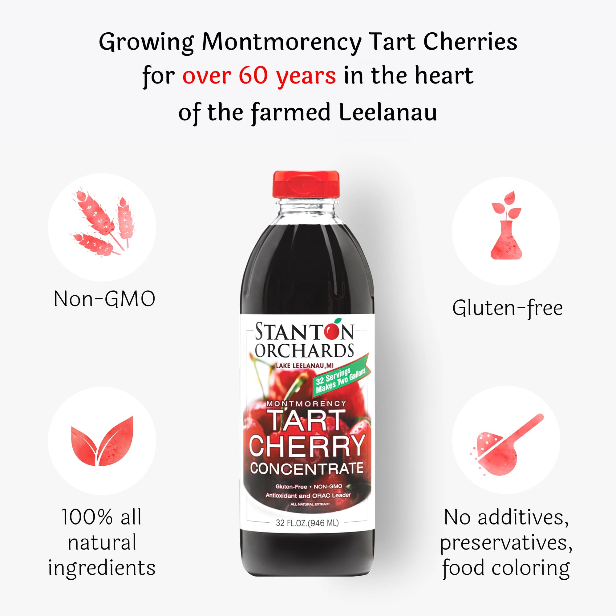 Case of Six (6) 32 oz. Bottles of Tart Cherry Concentrate