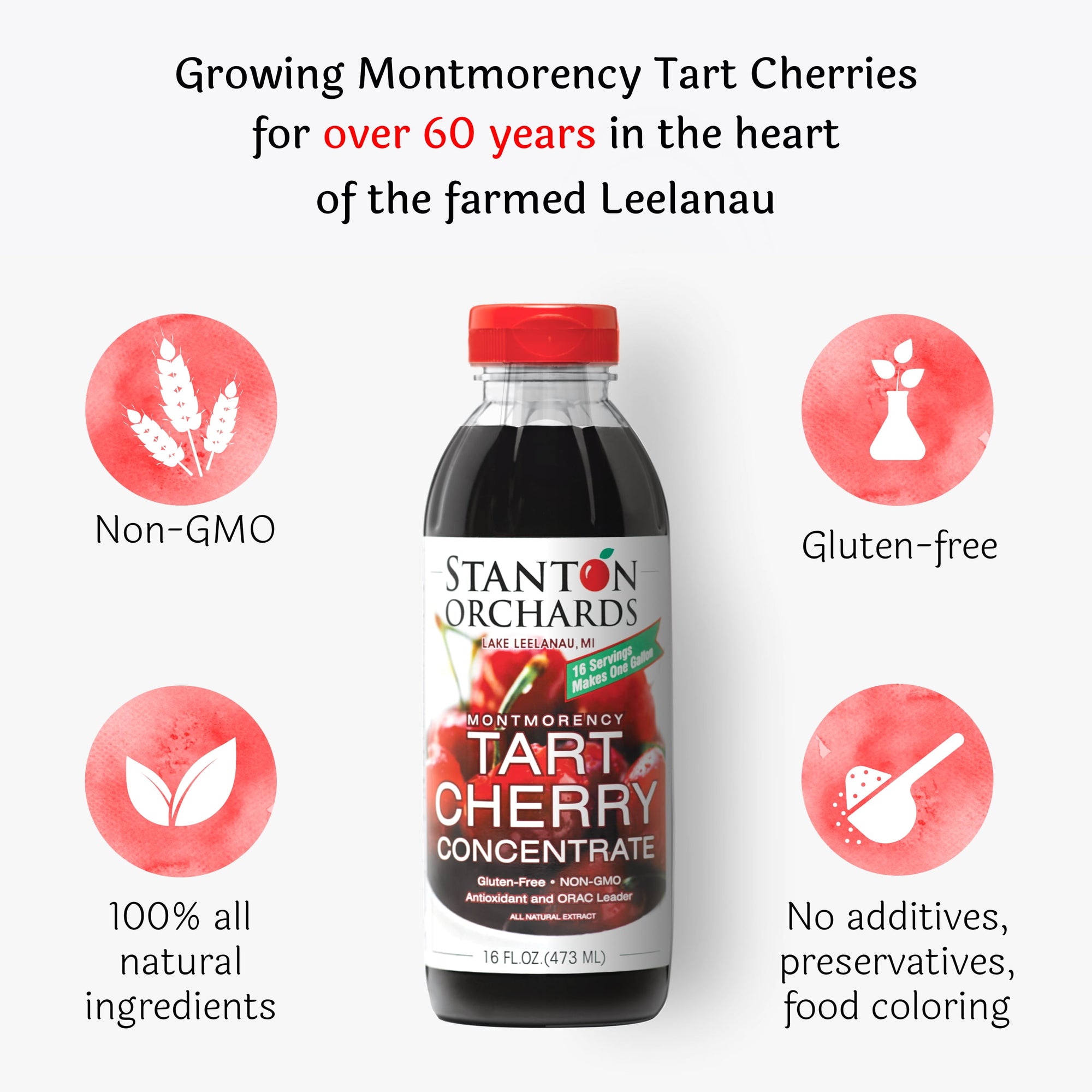 Case of Six (6) 16 oz. Bottles of Tart Cherry Concentrate